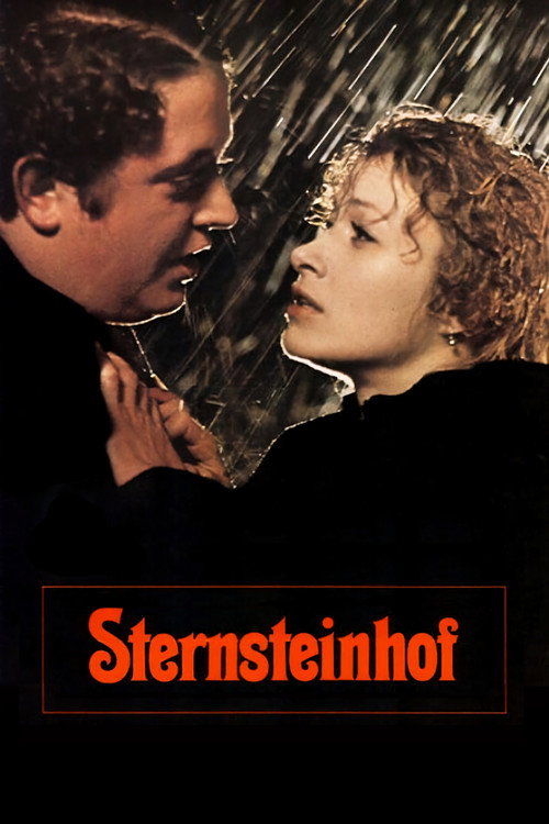 Der Sternsteinhof — постер