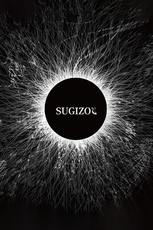 SUGIZO - Unity for Universal Truth — постер