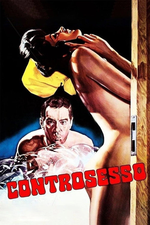 Controsesso — постер