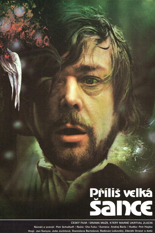 Příliš velká šance — постер