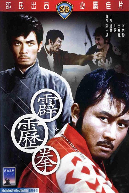 霹靂拳 — постер