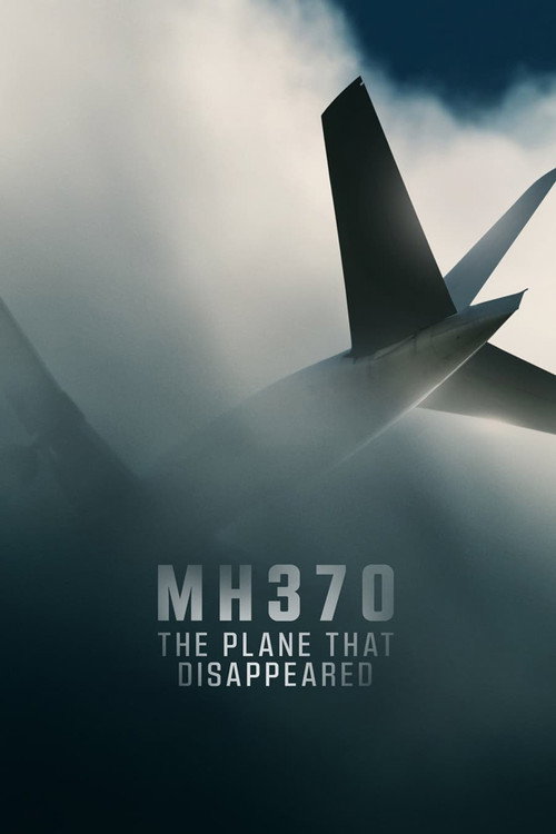 MH370: Самолёт, который исчез — постер