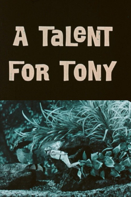 A Talent For Tony — постер