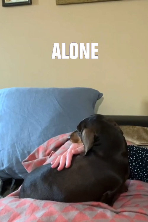 Alone — постер