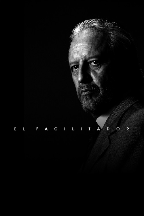 El Facilitador — постер