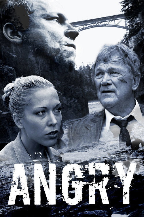 Angry — постер