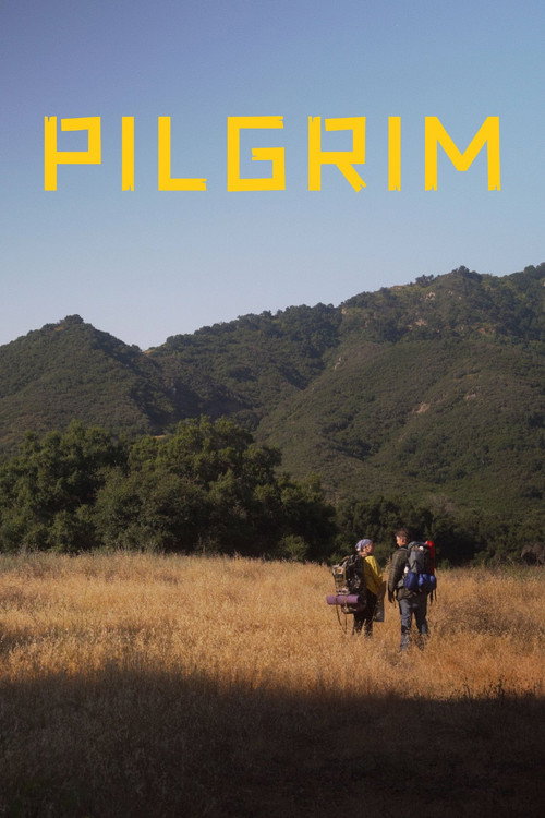 Pilgrim — постер
