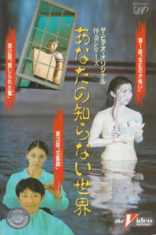 あなたの知らない世界 II — постер