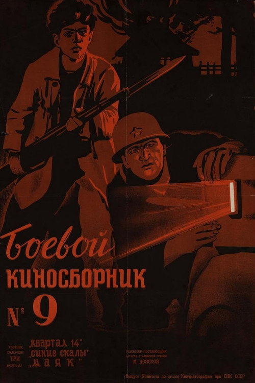 Боевой киносборник #9 — постер