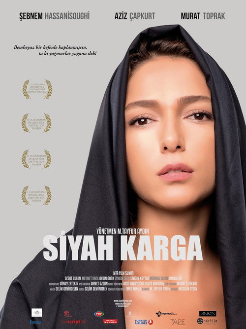 Siyah Karga — постер