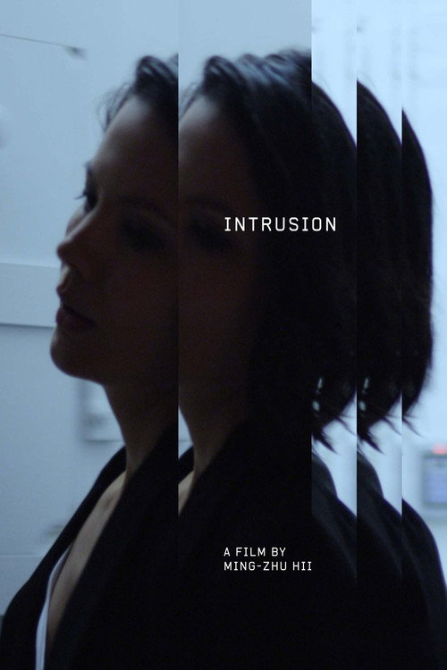 Intrusion — постер