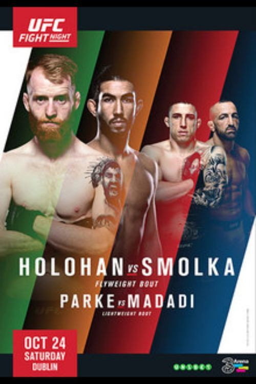 UFC Fight Night 76: Holohan vs. Smolka — постер