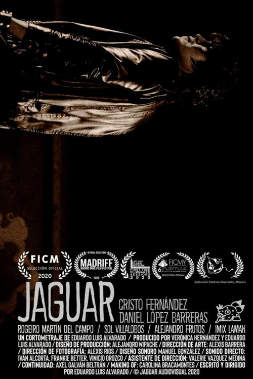 Jaguar — постер