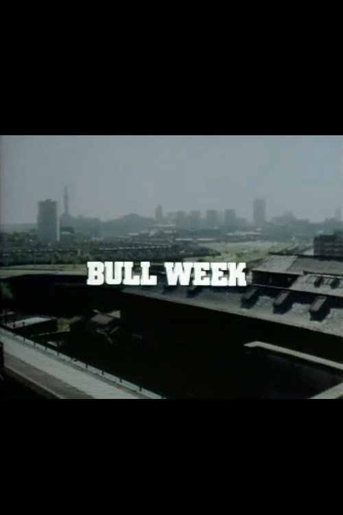 Bull Week — постер