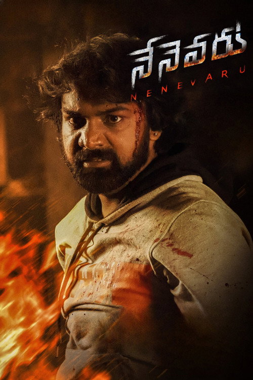 నేనెవరు — постер