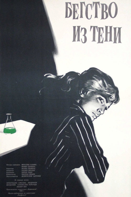 Бегство из тени — постер