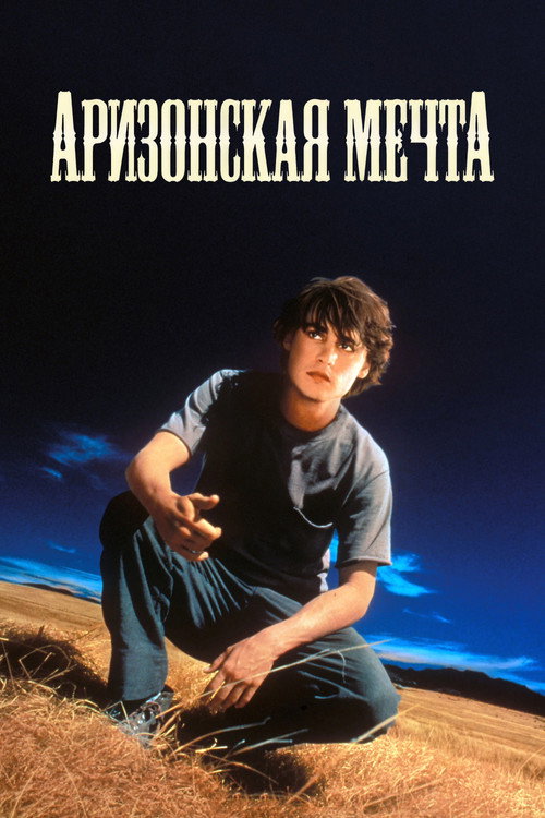 Аризонская мечта — постер