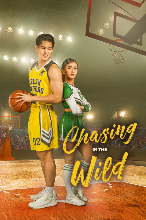 Chasing in the Wild — постер