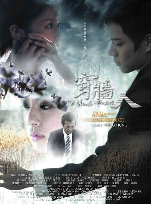 穿牆人 — постер