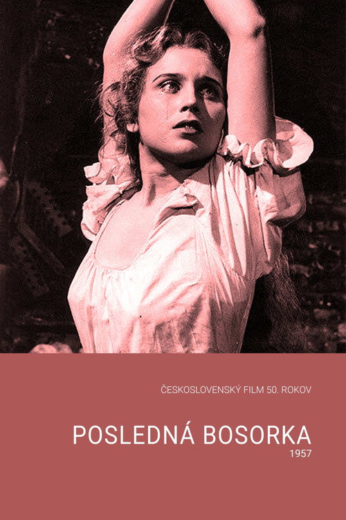 Posledná bosorka — постер