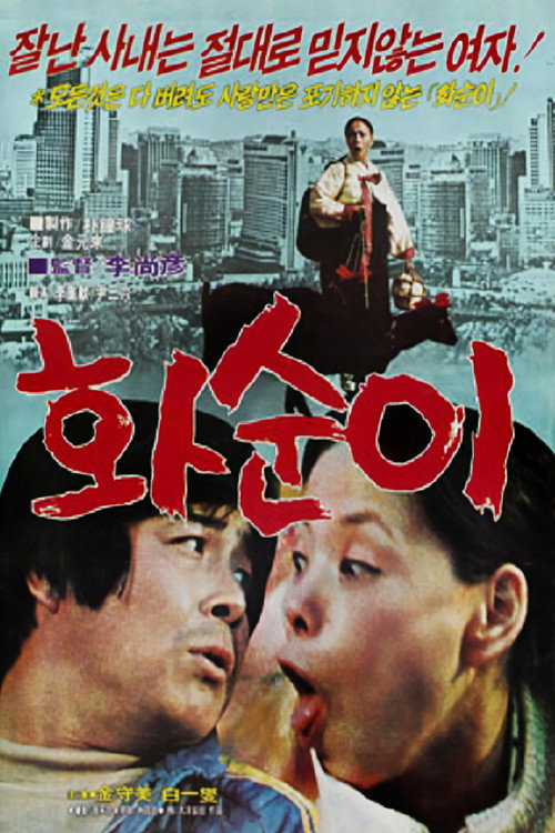 화순이 — постер