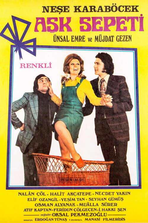 Aşk Sepeti — постер