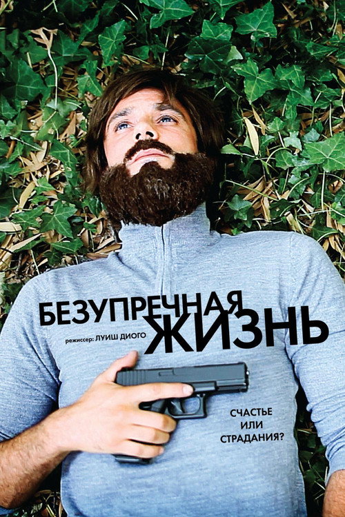 Безупречная жизнь — постер