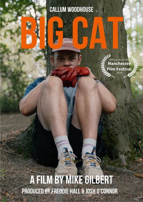 Big Cat — постер