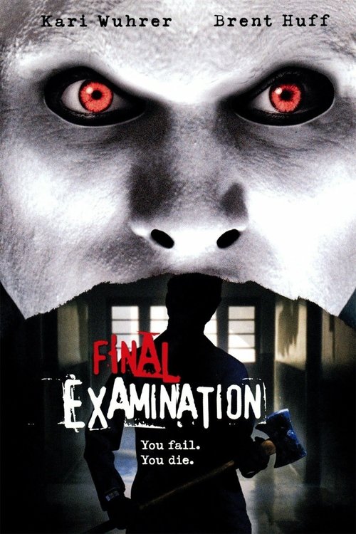 Final Examination — постер