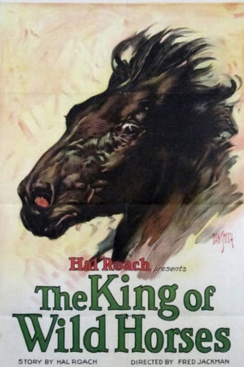 The King of the Wild Horses — постер