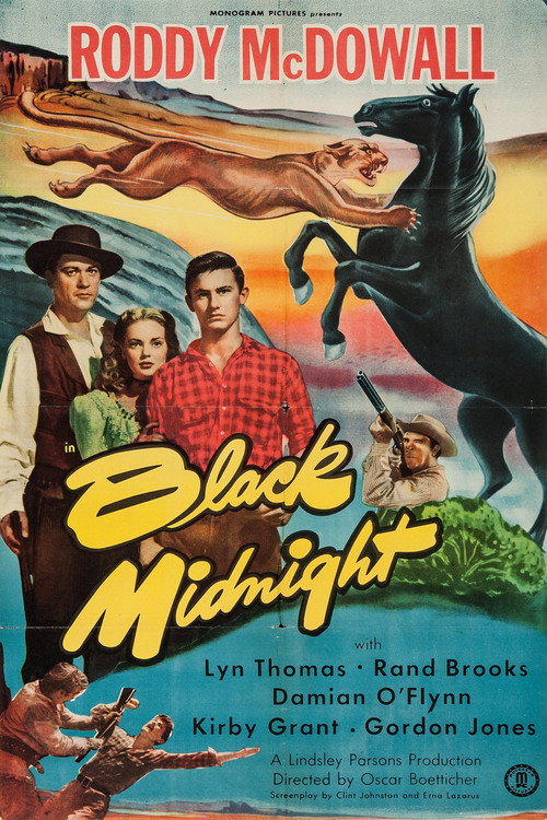 Black Midnight — постер