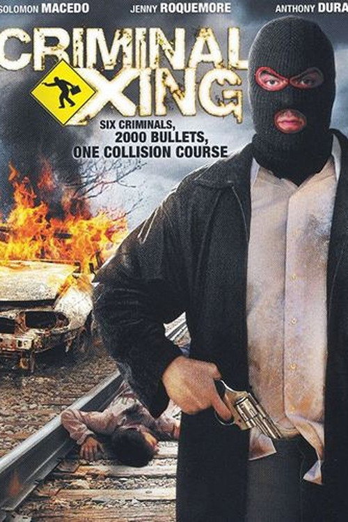 Criminal Xing — постер