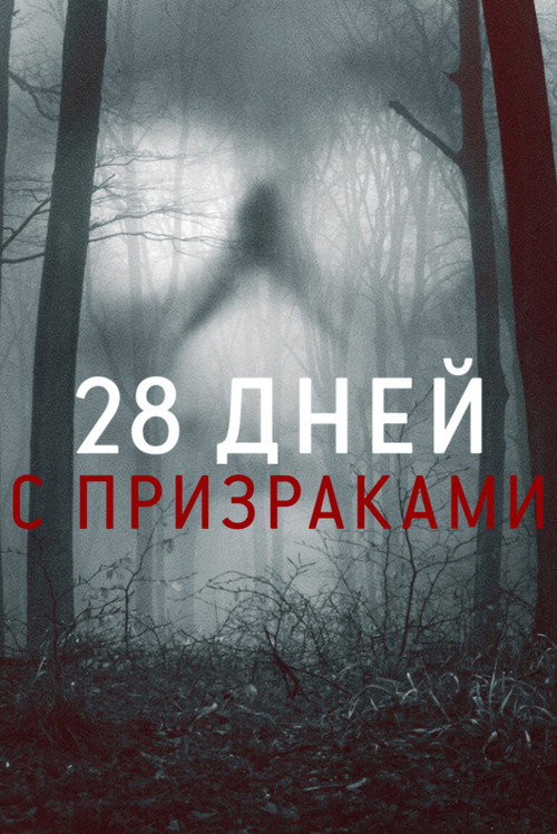 28 дней с призраками — постер