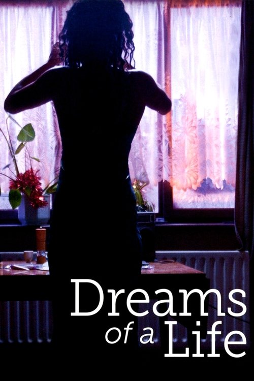 Dreams of a Life — постер