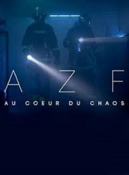 AZF : au cœur du chaos — постер