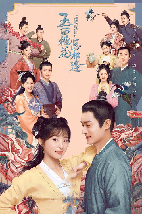 玉面桃花总相逢 — постер