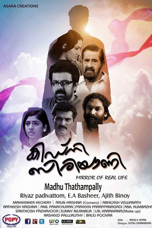 കിഡ്നി ബിരിയാണി — постер