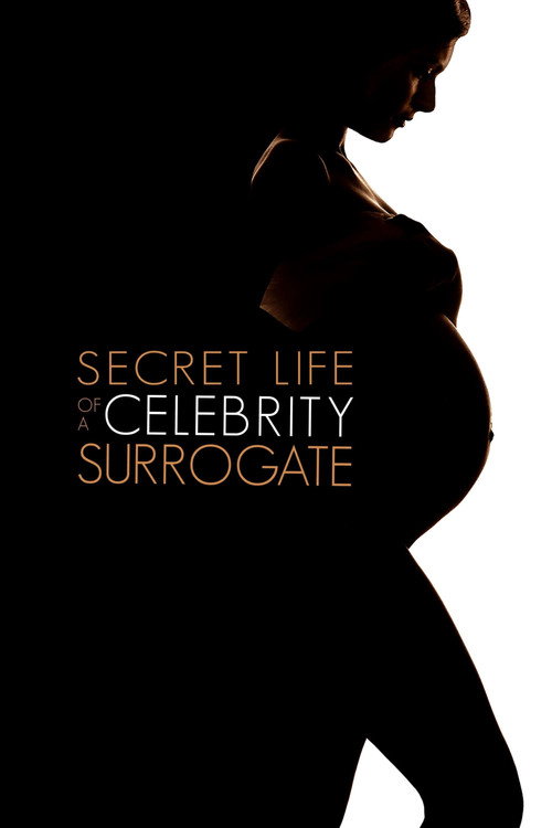Secret Life of a Celebrity Surrogate — постер