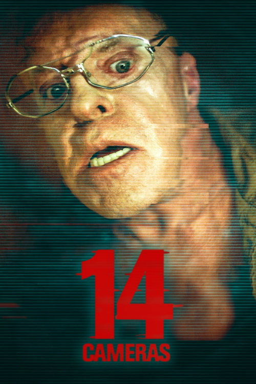 14 Cameras — постер