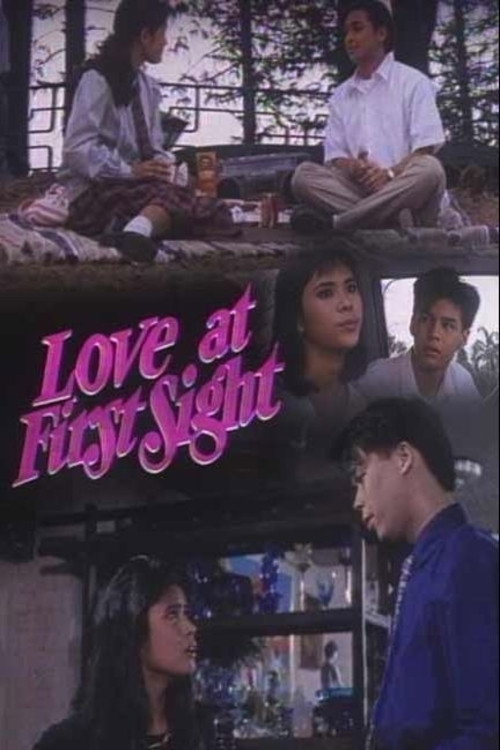 Love at First Sight — постер