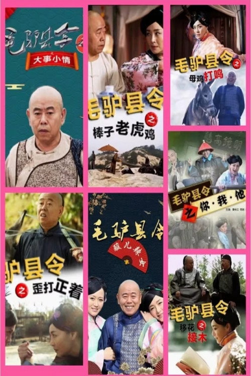 毛驴县令 第一季 — постер