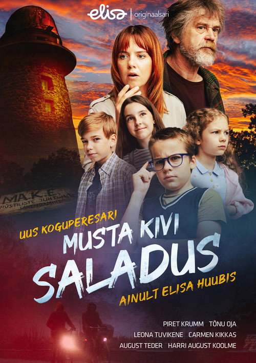 Musta kivi saladus — постер
