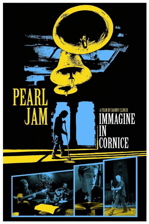 Pearl Jam: Immagine in Cornice — постер