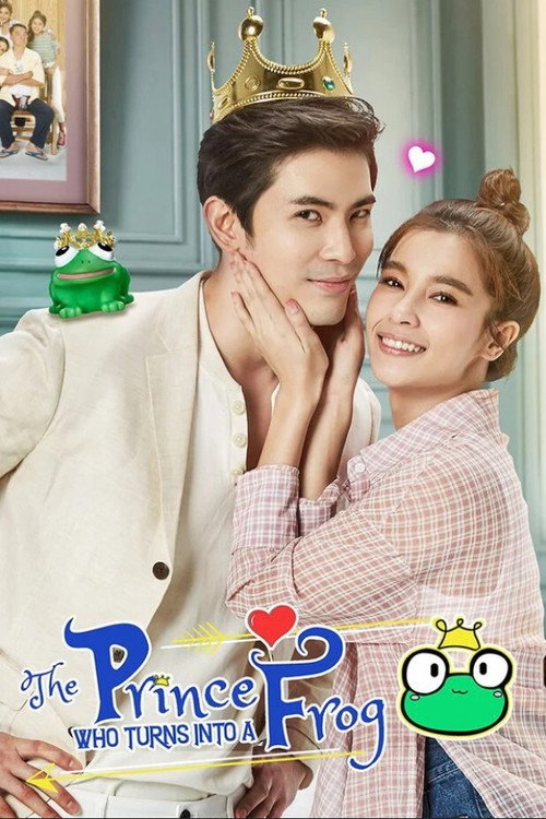 รักวุ่นวายเจ้าชายกบ — постер