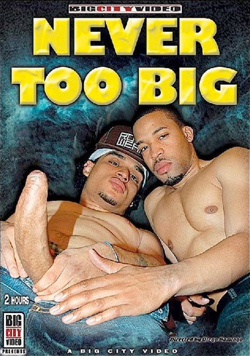 Never Too Big — постер