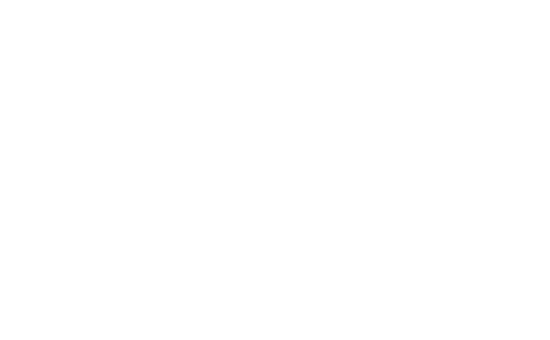Голубь сидел на ветке, размышляя о бытии — логотип