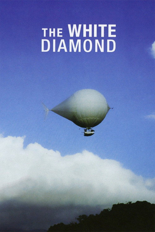 The White Diamond — постер