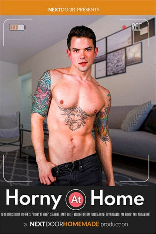 Horny at Home — постер