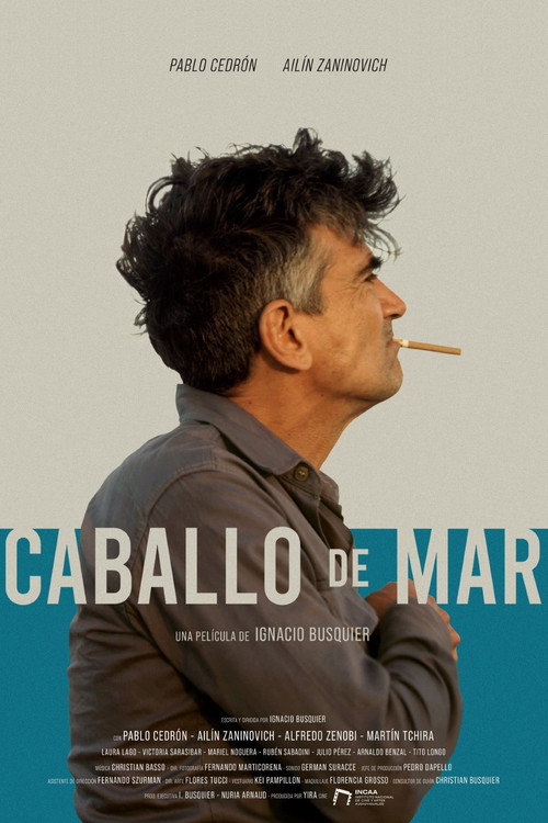 Caballo de mar — постер