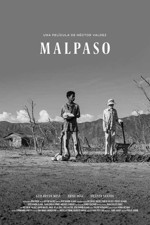 Malpaso — постер